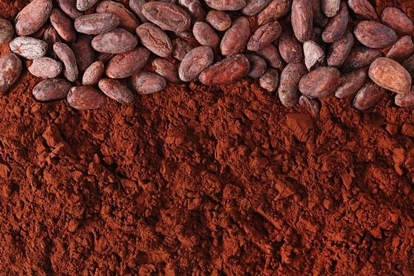 September 2023 Sees a 5% Decrease in Canada's Cocoa Powder Imports, Amounting to $7.2M