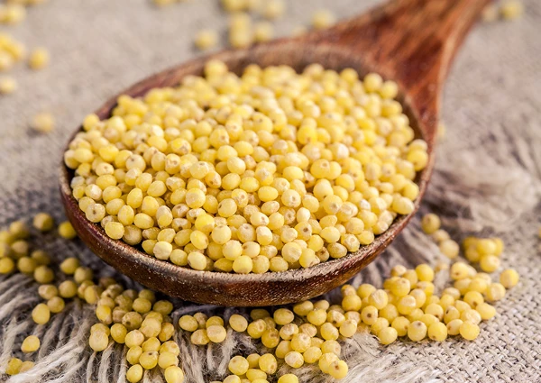 Millet Market - the U.S. Ranked First Globally in Millet Exports in 2014