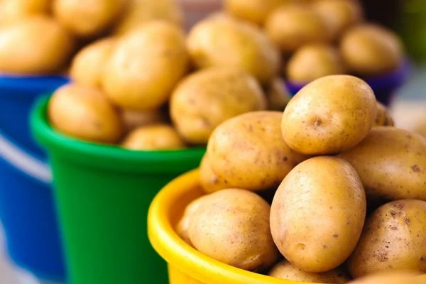 The Global Potato Market Hits Record Highs