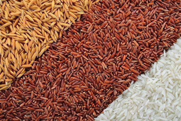 Rice Market - India’s Rice Exports Slipped 3% in 2014