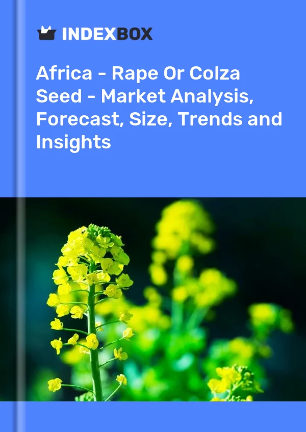 Report Africa - Rape or Colza Seed - Market Analysis, Forecast, Size, Trends and Insights for 499$