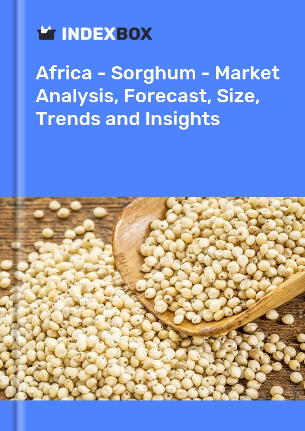 Report Africa - Sorghum - Market Analysis, Forecast, Size, Trends and Insights for 499$