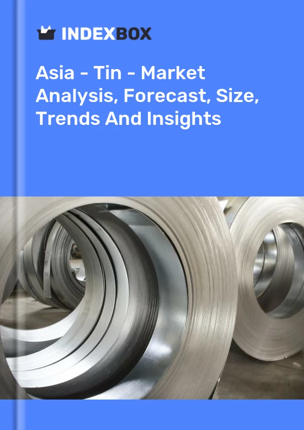 Report Asia - Tin - Market Analysis, Forecast, Size, Trends and Insights for 499$