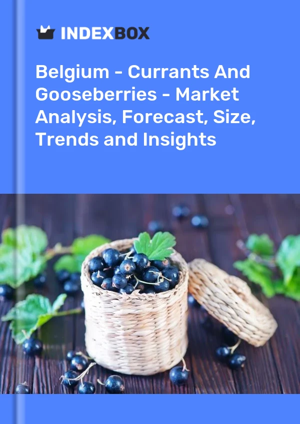 Report Belgium - Currants and Gooseberries - Market Analysis, Forecast, Size, Trends and Insights for 499$