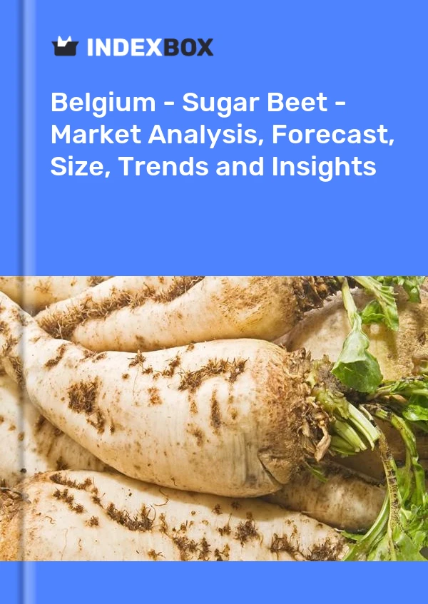 Belgium - Sugar Beet - Market Analysis, Forecast, Size, Trends and Insights