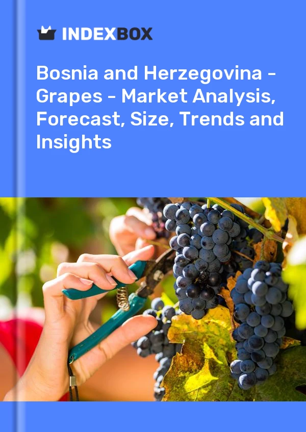 Report Bosnia and Herzegovina - Grapes - Market Analysis, Forecast, Size, Trends and Insights for 499$
