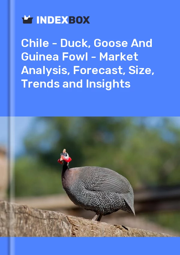Report Chile - Duck, Goose and Guinea Fowl - Market Analysis, Forecast, Size, Trends and Insights for 499$