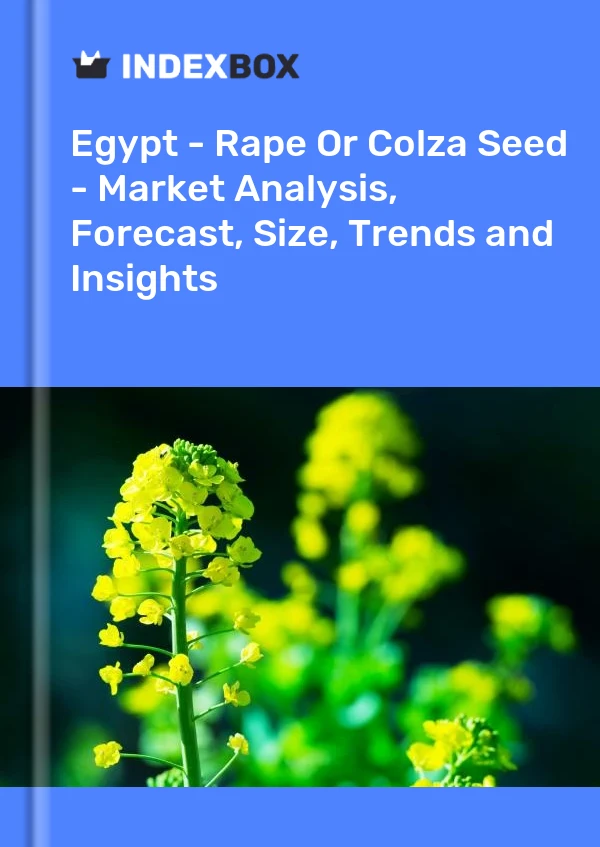 Egypt - Rape Or Colza Seed - Market Analysis, Forecast, Size, Trends and Insights