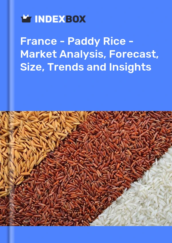 France - Paddy Rice - Market Analysis, Forecast, Size, Trends and Insights