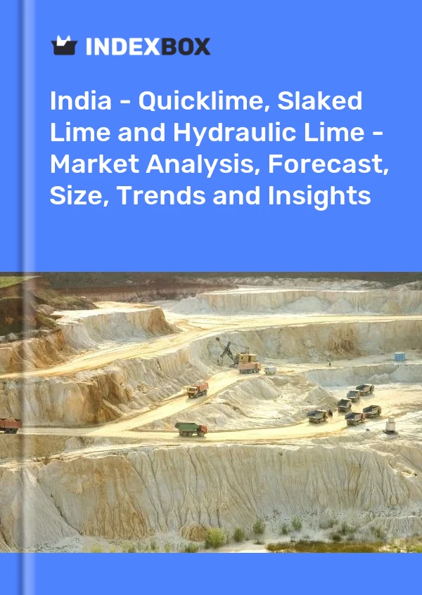 Report India - Quicklime, Slaked Lime and Hydraulic Lime - Market Analysis, Forecast, Size, Trends and Insights for 499$