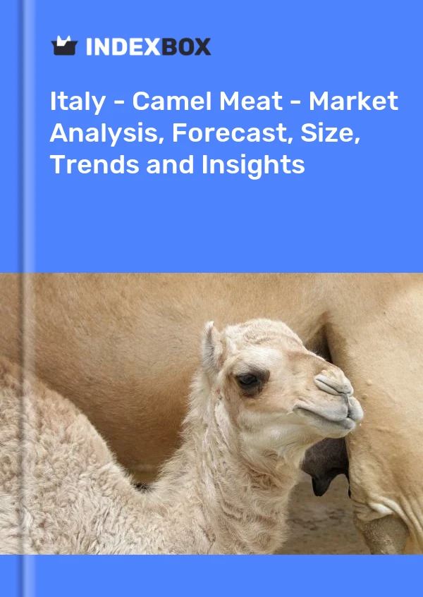 Report Italy - Camel Meat - Market Analysis, Forecast, Size, Trends and Insights for 499$