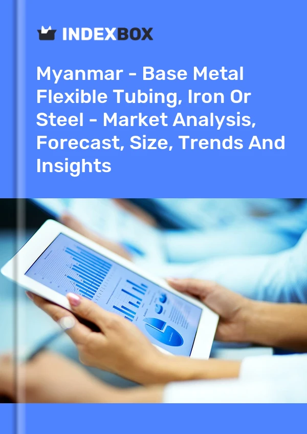 Myanmar - Base Metal Flexible Tubing, Iron Or Steel - Market Analysis, Forecast, Size, Trends And Insights