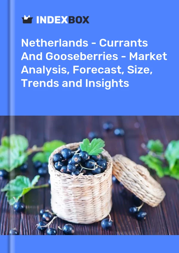 Report Netherlands - Currants and Gooseberries - Market Analysis, Forecast, Size, Trends and Insights for 499$