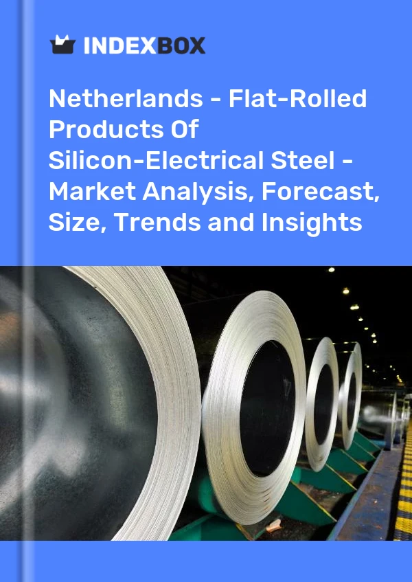 Report Netherlands - Flat-Rolled Products of Silicon-Electrical Steel - Market Analysis, Forecast, Size, Trends and Insights for 499$