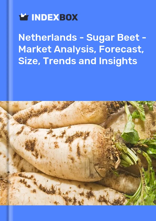 Netherlands - Sugar Beet - Market Analysis, Forecast, Size, Trends and Insights