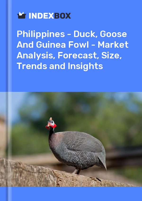 Report Philippines - Duck, Goose and Guinea Fowl - Market Analysis, Forecast, Size, Trends and Insights for 499$