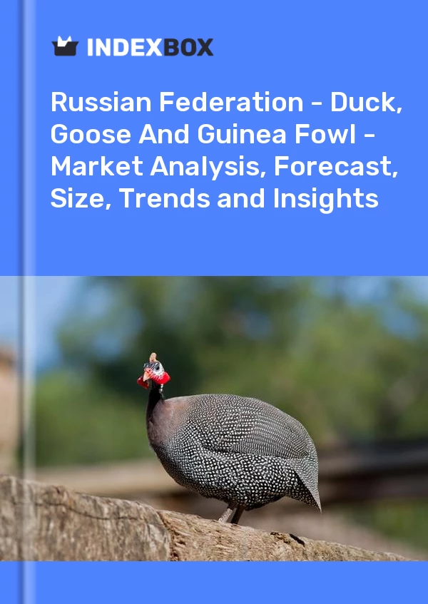 Report Russian Federation - Duck, Goose and Guinea Fowl - Market Analysis, Forecast, Size, Trends and Insights for 499$