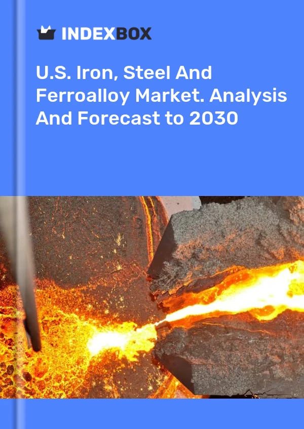 Report U.S. Iron, Steel and Ferroalloy Market. Analysis and Forecast to 2030 for 499$
