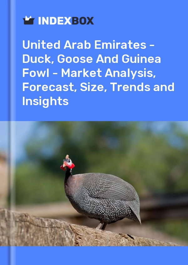 Report United Arab Emirates - Duck, Goose and Guinea Fowl - Market Analysis, Forecast, Size, Trends and Insights for 499$