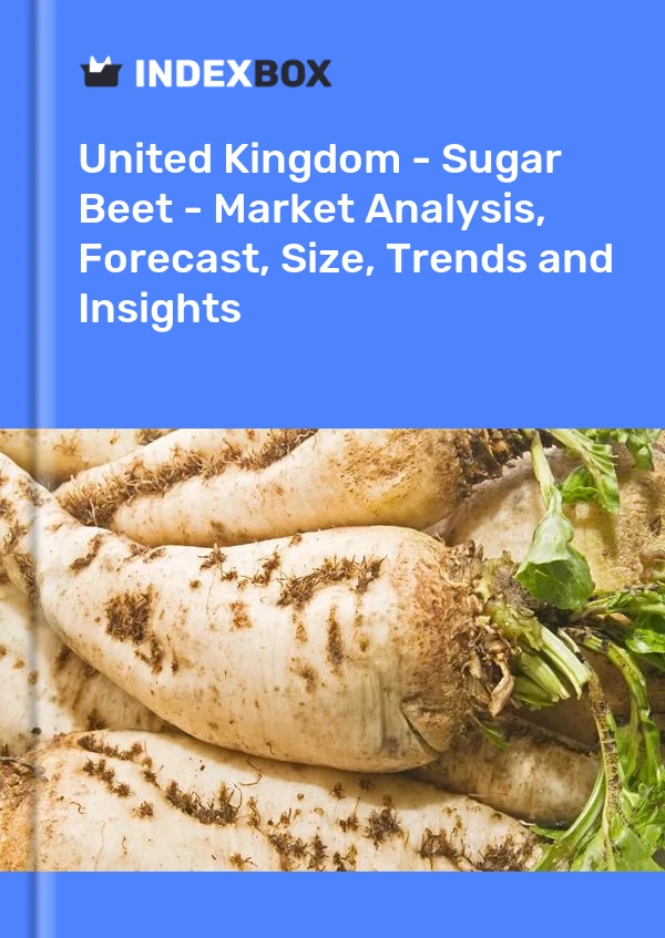 Report United Kingdom - Sugar Beet - Market Analysis, Forecast, Size, Trends and Insights for 499$