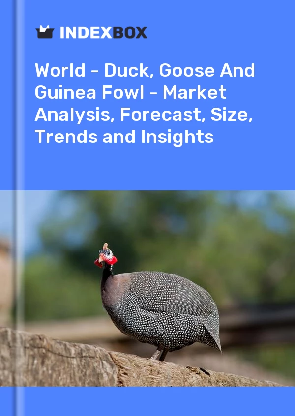 Report World - Duck, Goose and Guinea Fowl - Market Analysis, Forecast, Size, Trends and Insights for 499$
