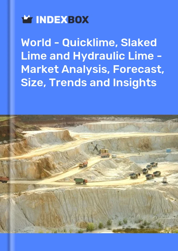 Report World - Quicklime, Slaked Lime and Hydraulic Lime - Market Analysis, Forecast, Size, Trends and Insights for 499$