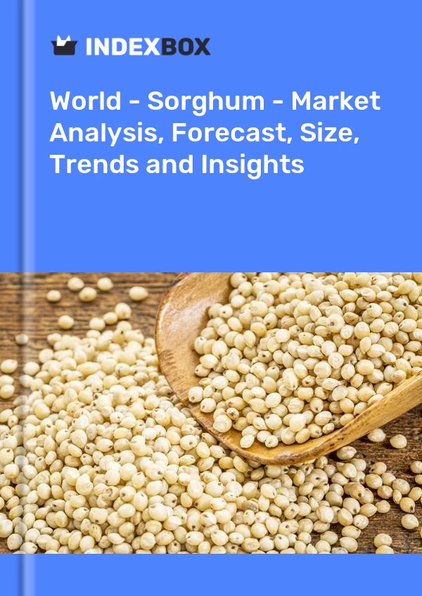 Report World - Sorghum - Market Analysis, Forecast, Size, Trends and Insights for 499$